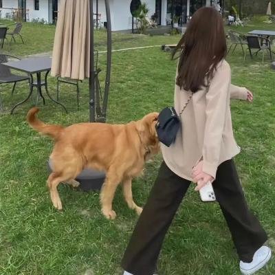 恐怖旅舍第二站